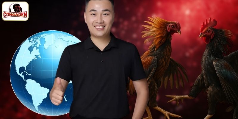 Đưa trang cá cược vươn thị trường quốc tế