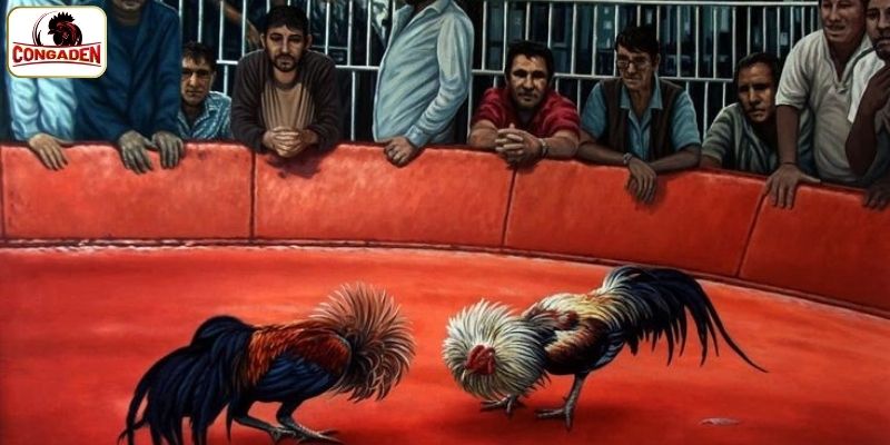 Tìm hiểu hình thức đá gà cựa dao