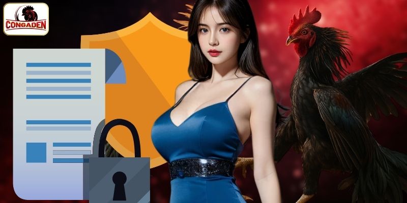 Tổng quan về chính sách bản quyền tại congaden