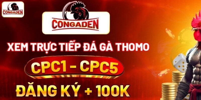 Truy cập vào trang chủ chính thức của nền tảng