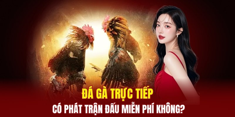 Các trận đấu tại đây đều hoàn toàn miễn phí 