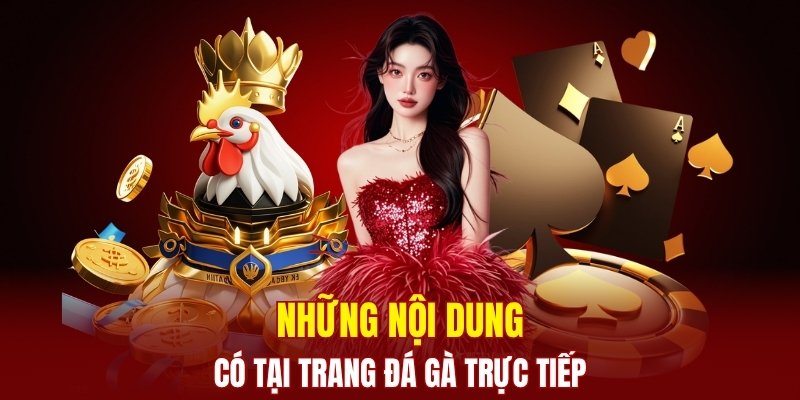 Chuyên trang có những danh mục chính nào? 