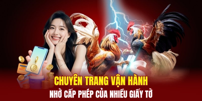 Chuyên trang vận hành nhờ giấy tờ nào?