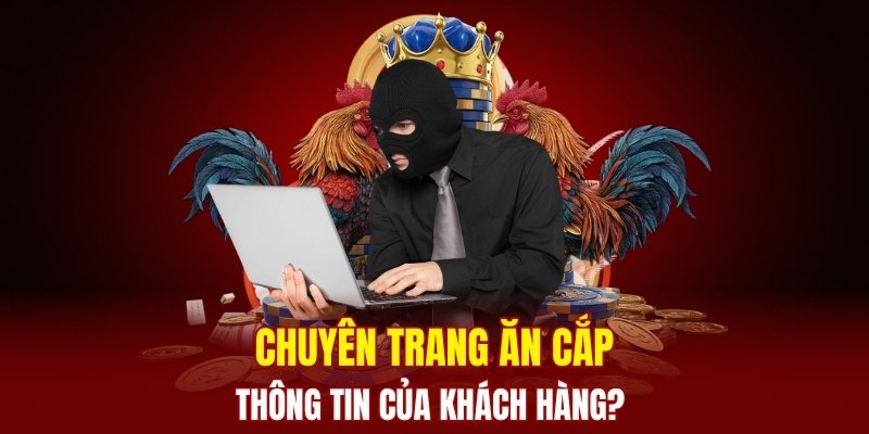 Giải đáp các vấn đề liên quan tới Đá Gà Trực Tiếp 
