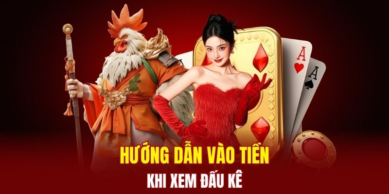 Hướng dẫn vào tiền khi xem đá gà tại chuyên trang 