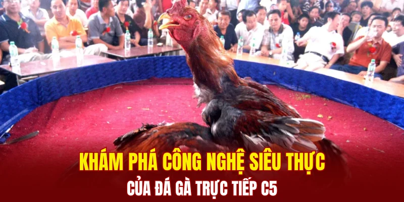 Khám phá công nghệ siêu thực của đá gà trực tiếp C5