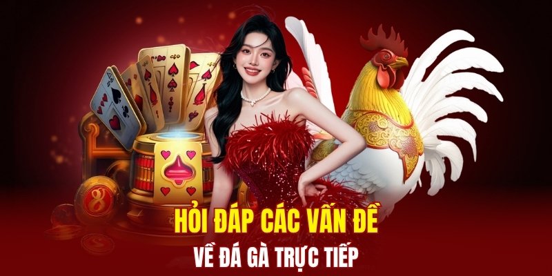 Lời đồn về chuyên trang lừa đảo người dùng 