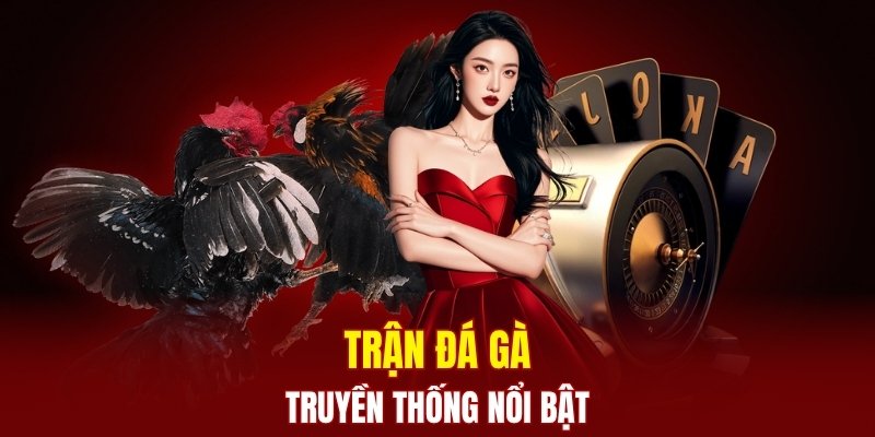 Mỗi ngày có rất nhiều trận đấu kê trực tiếp diễn ra 