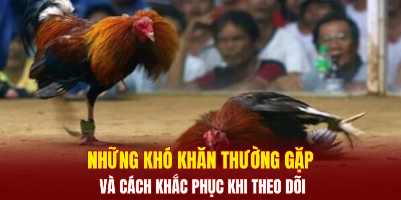 Những khó khăn thường gặp và cách khắc phục khi theo dõi