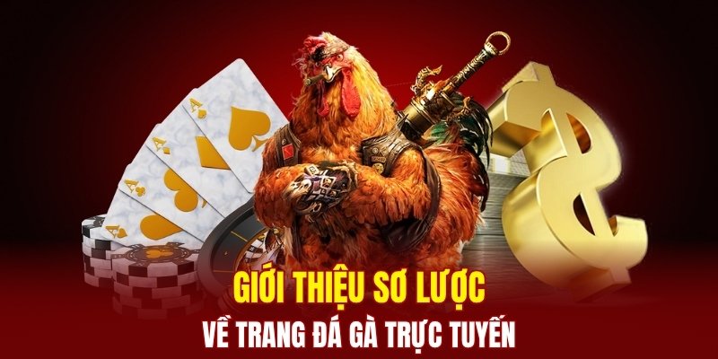 Thông tin về trang chuyên Đá Gà Trực Tuyến