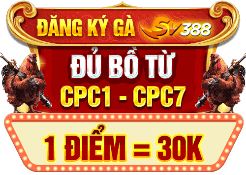 đá gà sv388